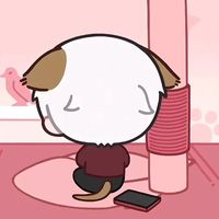fumiy01