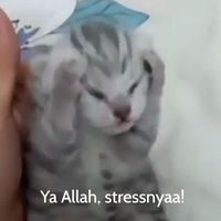 original sound - Ramirzha_