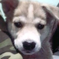 jim_34_7