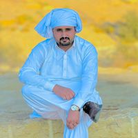 naveedchaudhary951
