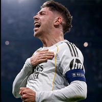 bicho_aveiro7