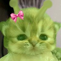 perrtygirls