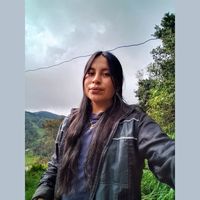 daira_20062