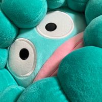 オリジナル楽曲 - ちいたい🎨
