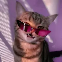 original sound - stallz.s