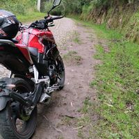 z250.bkr