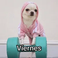 Mi pasado Y mi presente