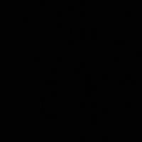 aslank27