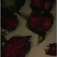 itsnot_ruby3