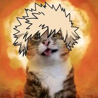 bnhakacchan