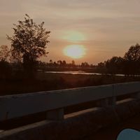 lluullsj55