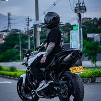 fz6.david