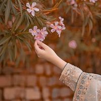 shezadi_092
