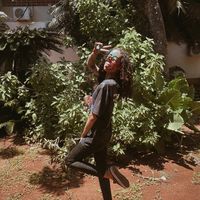 fefe72803