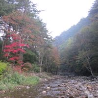 오리지널 사운드 - 잡 TV