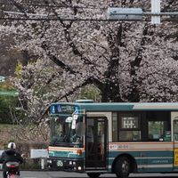chiikawapark