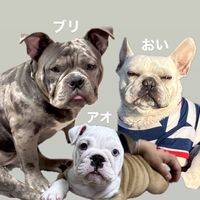 oichan_27