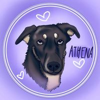 athena.mutt