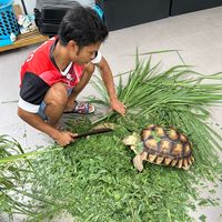 tong_8511