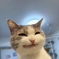 original sound - DJ NAY YAN LIN RMX