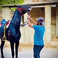 umairkhan442