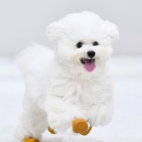 puff_521