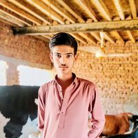 rabeeh780