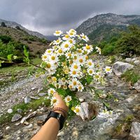 arush9117