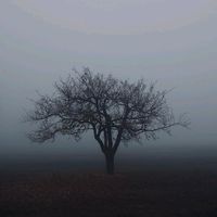 original sound - Darkness