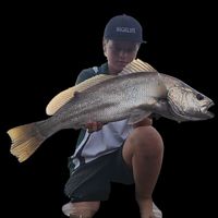 ke_fisho2