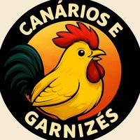 criatorioalex409