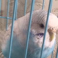 uuhuuuuuuuuuuuuuuuuu