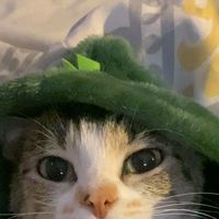 suara asli - زكي🪐