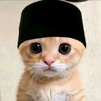 suara asli - tomasardatrinata_22