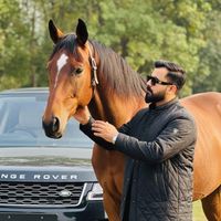 choudhry_ali_official