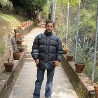 original sound - king203413