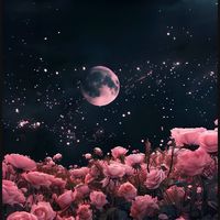 felt_it03