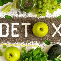 detox.bio.226