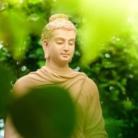 nhạc nền - Tâm Hướng Đạo