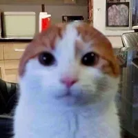 original sound - zil_preset