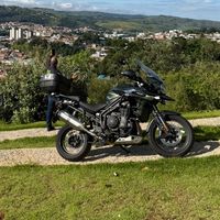 zezinhocrivelari