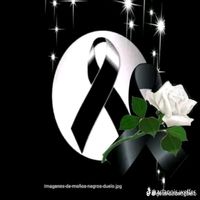 mercylopes