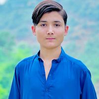 dawoodsafi586
