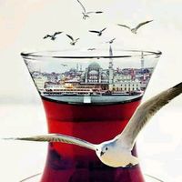 isil_isil_2727