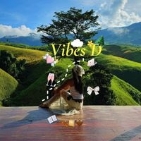 vibesd1991