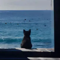 original sound - khoanhkhac.hieura