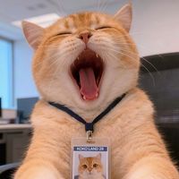 เสียงต้นฉบับ - Story by KOKO KUNG