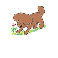 オリジナル楽曲 - くれお