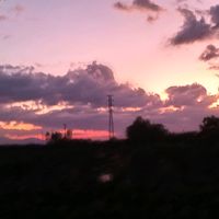 kohieujhet01