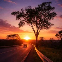 Tu misterioso alguien Miranda